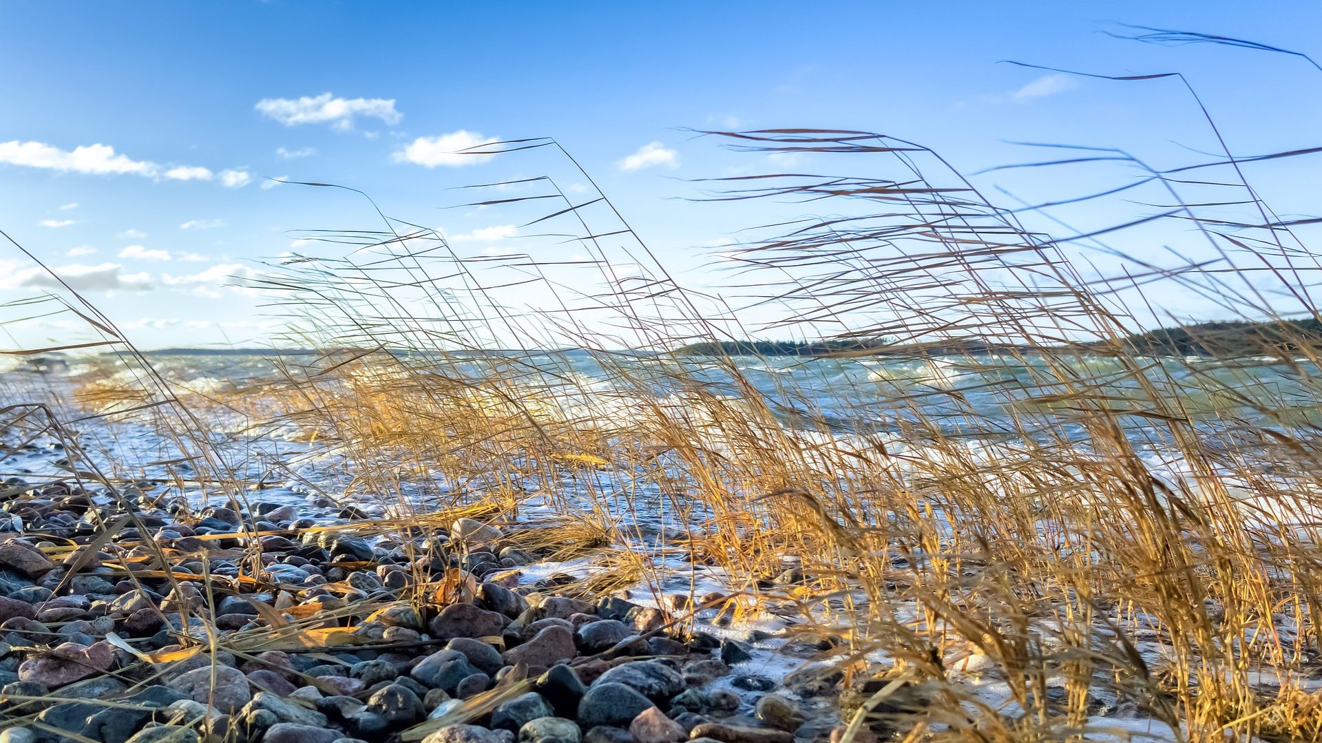 Coaching –  gezielt!